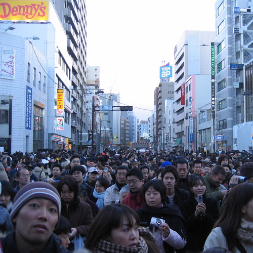The Crowds
