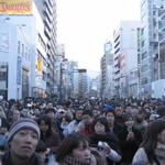 The Crowds