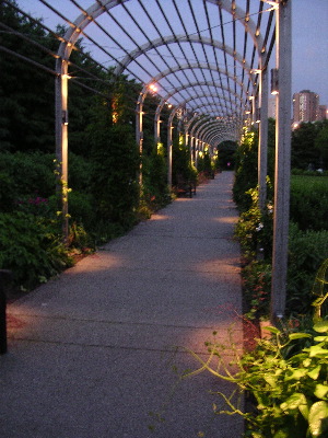 Under the Arches