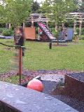 Not Quite Playing Mini-Golf